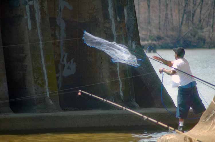 fisherman throwing net